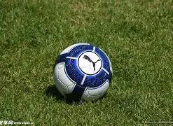 彩界老将揭,大乐透,期独家胆拖,500彩票网,500彩票网官网首页,500彩票网app,500彩票网站,500彩票网官网,500彩票网网页