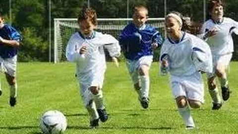 【秋叶彩韵】2025137双色球预测大揭秘：12红2蓝，深度解析，精准选号攻略！