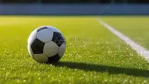 【独领风骚】26014期大乐透神预测：拖胆必杀号阵容曝光，01、06、09稳中求胜！