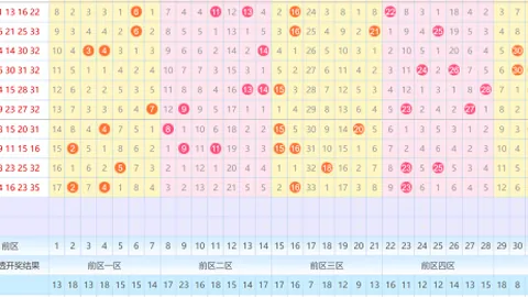 【粤胜独家揭秘】2026013期大乐透中奖攻略：前后区杀码精选，一胆定乾坤，12码助你一触即发！