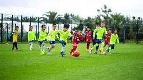 【独家秘籍】双色球26期017期精准预测：12红2蓝，玩转彩票必备攻略！